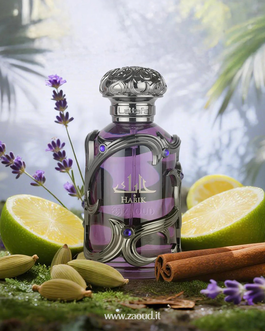 Lattafa Habik Men Edp 100 Ml